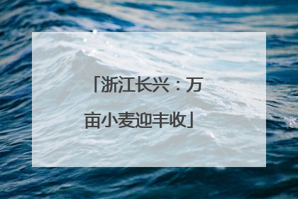 浙江长兴：万亩小麦迎丰收