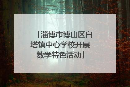 淄博市博山区白塔镇中心学校开展数学特色活动