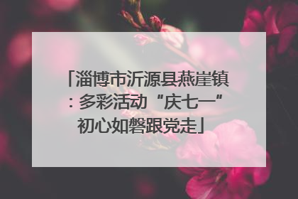 淄博市沂源县燕崖镇：多彩活动“庆七一” 初心如磐跟党走