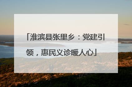 淮滨县张里乡：党建引领，惠民义诊暖人心