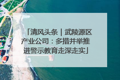 清风头条｜武陵源区产业公司：多措并举推进警示教育走深走实
