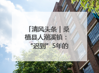 清风头条｜桑植县人潮溪镇：“迟到”5年的生态林补偿金