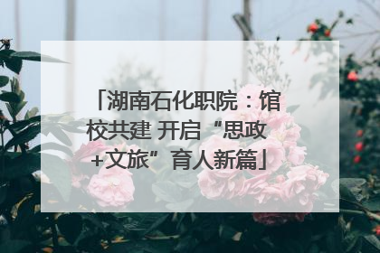 湖南石化职院：馆校共建 开启“思政+文旅”育人新篇
