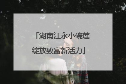 湖南江永小碗莲绽放致富新活力