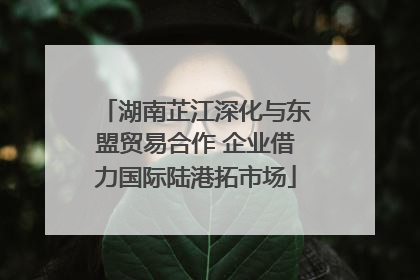 湖南芷江深化与东盟贸易合作 企业借力国际陆港拓市场