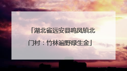 湖北省远安县鸣凤镇北门村：竹林遍野绿生金