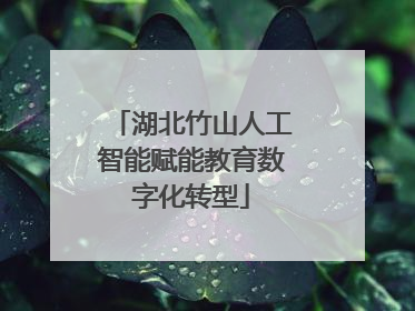 湖北竹山人工智能赋能教育数字化转型
