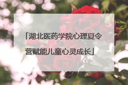 湖北医药学院心理夏令营赋能儿童心灵成长