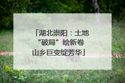 湖北崇阳：土地“破局”绘新卷 山乡巨变绽芳华