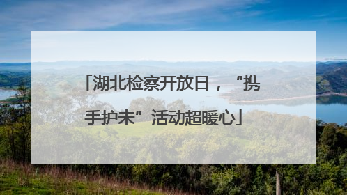 湖北检察开放日，“携手护未”活动超暖心