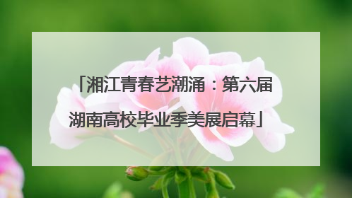 湘江青春艺潮涌：第六届湖南高校毕业季美展启幕