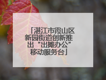 湛江市霞山区新园街道创新推出“出摊办公”移动服务台