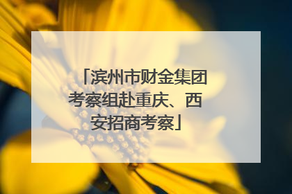 滨州市财金集团考察组赴重庆、西安招商考察