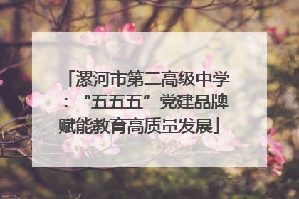 漯河市第二高级中学：“五五五”党建品牌赋能教育高质量发展