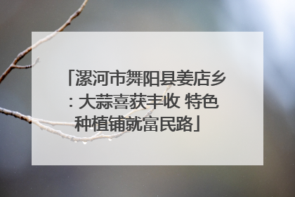 漯河市舞阳县姜店乡：大蒜喜获丰收 特色种植铺就富民路