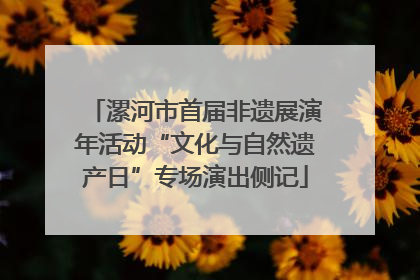 漯河市首届非遗展演年活动“文化与自然遗产日”专场演出侧记