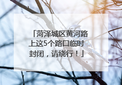 菏泽城区黄河路上这5个路口临时封闭，请绕行！