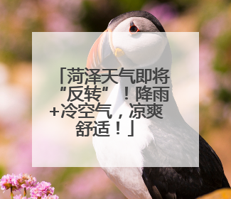 菏泽天气即将“反转”！降雨+冷空气，凉爽舒适！