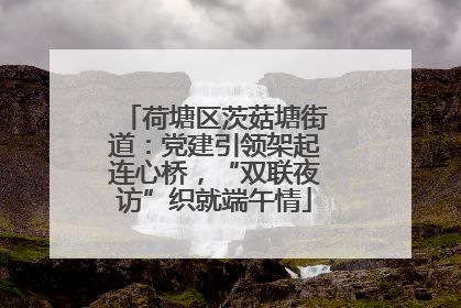 荷塘区茨菇塘街道：党建引领架起连心桥，“双联夜访”织就端午情