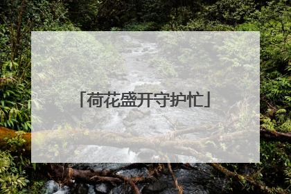 荷花盛开守护忙