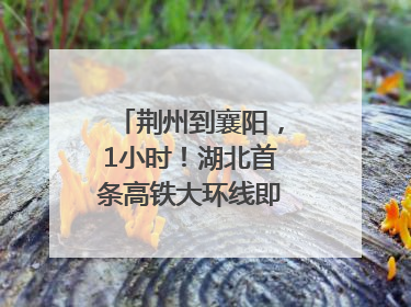 荆州到襄阳，1小时！湖北首条高铁大环线即将“画圆”