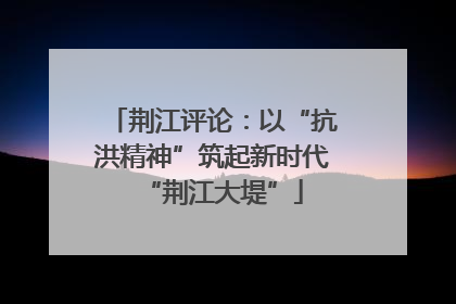荆江评论：以“抗洪精神”筑起新时代“荆江大堤”