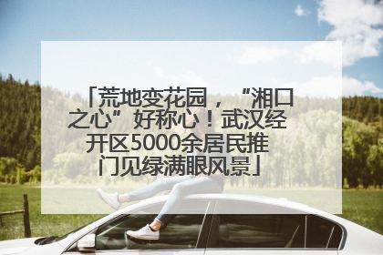 荒地变花园，“湘口之心”好称心！武汉经开区5000余居民推门见绿满眼风景