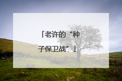 老许的“种子保卫战”