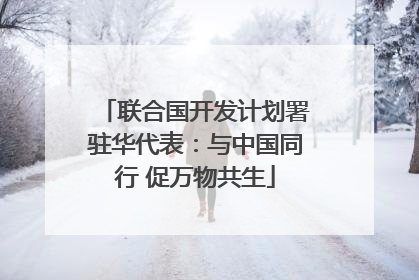 联合国开发计划署驻华代表：与中国同行 促万物共生