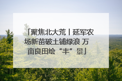 聚焦北大荒丨延军农场新苗破土铺绿浪 万亩良田绘“丰”景