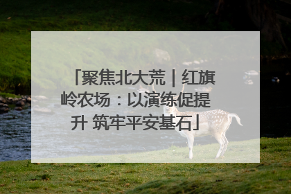 聚焦北大荒｜红旗岭农场：以演练促提升 筑牢平安基石