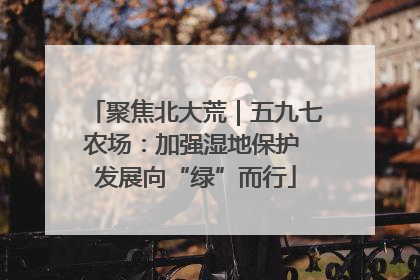 聚焦北大荒｜五九七农场：加强湿地保护 发展向“绿”而行