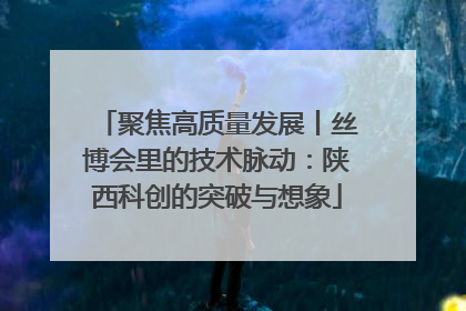 聚焦高质量发展丨丝博会里的技术脉动：陕西科创的突破与想象