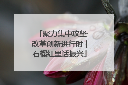 聚力集中攻坚·改革创新进行时｜石榴红里话振兴