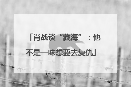 肖战谈“藏海”：他不是一味想要去复仇