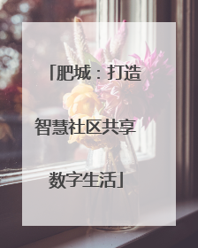 肥城：打造智慧社区共享数字生活