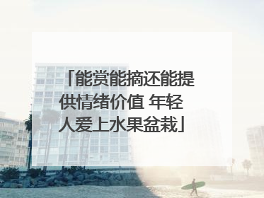 能赏能摘还能提供情绪价值 年轻人爱上水果盆栽