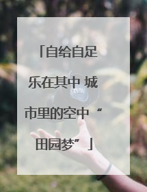 自给自足 乐在其中 城市里的空中“田园梦”