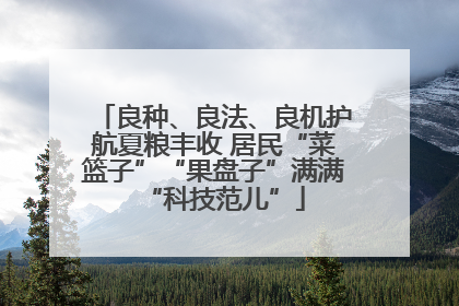 良种、良法、良机护航夏粮丰收 居民“菜篮子”“果盘子”满满“科技范儿”