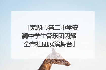芜湖市第二中学安澜中学生管乐团闪耀全市社团展演舞台