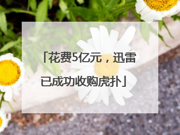 花费5亿元，迅雷已成功收购虎扑