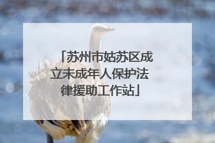 苏州市姑苏区成立未成年人保护法律援助工作站