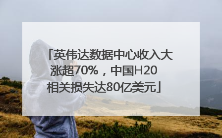 英伟达数据中心收入大涨超70%，中国H20相关损失达80亿美元
