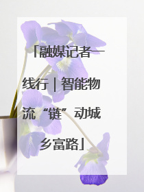 融媒记者一线行｜智能物流“链”动城乡富路