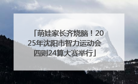萌娃家长齐烧脑！2025年沈阳市智力运动会四则24算大赛举行