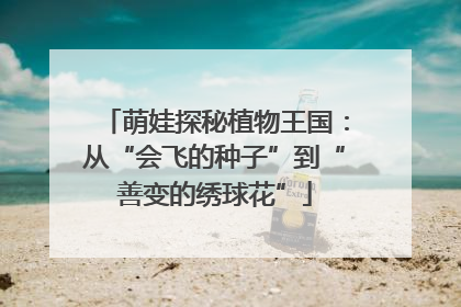 萌娃探秘植物王国：从“会飞的种子”到“善变的绣球花”