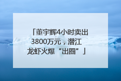 董宇辉4小时卖出3800万元，潜江龙虾火爆“出圈”