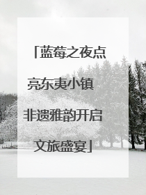蓝莓之夜点亮东夷小镇 非遗雅韵开启文旅盛宴