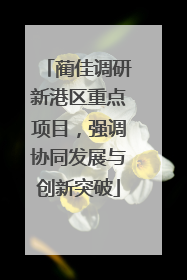 蔺佳调研新港区重点项目，强调协同发展与创新突破