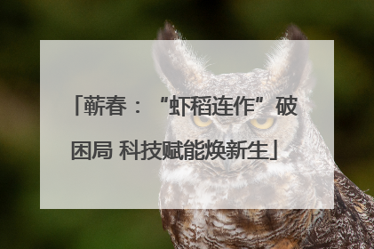 蕲春：“虾稻连作”破困局 科技赋能焕新生